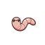 worm