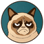 grumpy-cat-2c33af8d-87a8-4154-b004-0686166bdc45