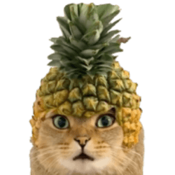 pineapple-cat-2